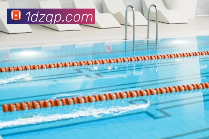 棋牌平台平台生态图